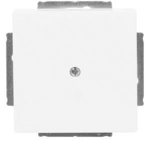 Kommunikationstechnik - Zentralscheibe Blindabdeckung mit Tragring studioweiß matt - Plattform 63 - 2CKA001710A3873