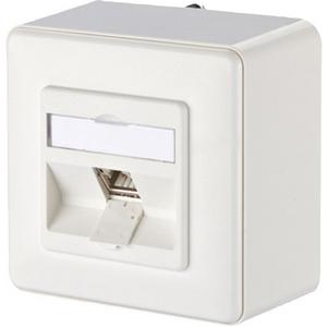 Kommunikationsanschlussdose Kupfer - Kommunikationsanschlussdose C6Amodul 1 Port 180°M AP reinweiß - 130B11D10002-E