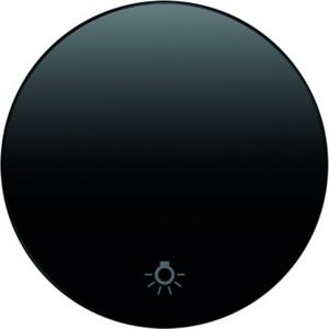 Abdeckung für Schalter, Taster, Dimmer, Jalousie - Wippe mit Aufdruck Symbol Licht Berker R.1/R.3 schwarz glänzend - 16202035