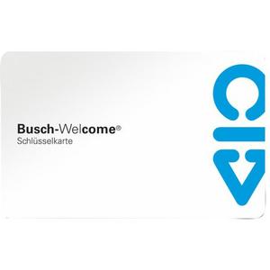 Funktionsmodul für Türstation - Schlüsselkarte weiß - Busch-Welcome 2-Draht - 2CKA008300A0372