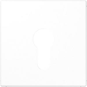 Abdeckung für Schalter, Taster, Dimmer, Jalousie - Abdeckung für Schlüsselschalter 104.15 134.15 133.15 und 106.15 - LS925WW