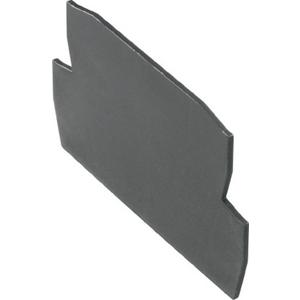 Abschluss- und Zwischenplatte für Reihenklemme - Blitz- und Überspannungsschutz Abschlussplatte - 1063120000