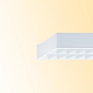 Anbauleuchte - Sportstättenleuchte Anbau THLA/1500-2 LED 9600lm LF 840 - 68120024100