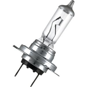 Sonderlampe - Fahrzeuglampe 64210 55W 12V PX26D - 4050300332185