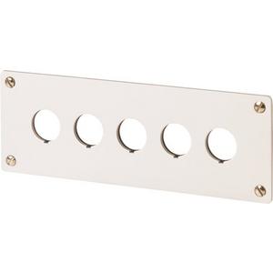 Einbauplatte für Befehlsgeräte - Einbautableau 5 Einbaustellen - 216546