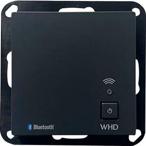 Audio/Video-Funksystem - BTR 55 MK2 anthrazit - 1240 5505 01200