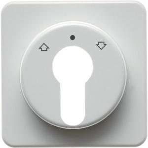 Abdeckung für Schalter, Taster, Dimmer, Jalousie - Zentralstück für Jalousie-Schlüsselschalter/-taster wg Up IP44 weiß - 151819
