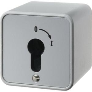 Installationsschalter - Schlüsselschalter Ap für Profil-Halbzylinder Druckguss IP44 - 4466