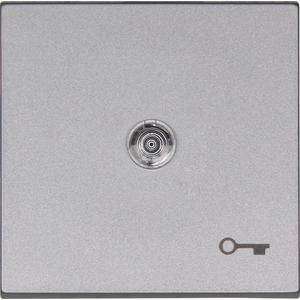 Abdeckung für Schalter, Taster, Dimmer, Jalousie - HK07 - Flächenwippe mit Linse und Symbol "Schlüssel" Farbe: stahlfarben - 490463002
