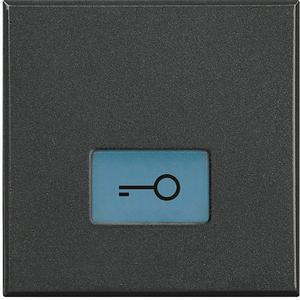 Abdeckung für Schalter, Taster, Dimmer, Jalousie - Symbolwippe "SCHLÜSSEL" für Schalterprogramm AXOLUTE, 2-mod., Farbe: Anthrazit - HS4921/2LF