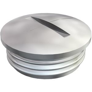 Verschlussschraube - Verschlussstopfen M12 CuZn vernickelt - 2090511