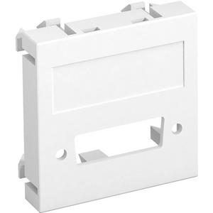Kommunikationstechnik - Multimediaträger DVI ohne Anschlussbuchse 45x45mm PC reinweiß 9010 - 6104778