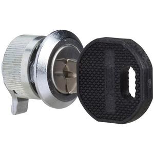 Schließsystem für Schaltschranksysteme - Spacial SF-2233X-Schloss mit Schlüssel für Teiltür - NSYML23