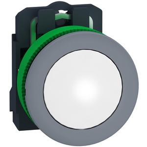 Leuchtmelder, Komplettgerät - Leuchtmelder Harmony XB5F antimikrobiell hellgrau weiß 30mm LED glatte Kalotte - XB5FVM1C0