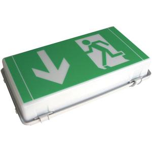 Einzelbatterieleuchten mit Selbsttest - LED-Notleuchte 3 h 5W 270lm Brenndauer 3h IP65 sym-breitstr 6500K - H16408 0061