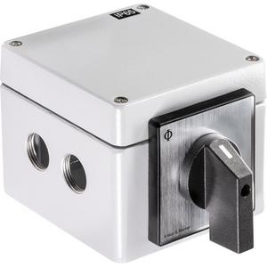 Steuerschalter - Dahlanderschalter 1 Drehrichtung D-0-YY Gußgehäuse - 70004320