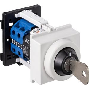 Steuerschalter - Stufenschalter 1-polig RE Schlüssel 1+2+3+4 abziehbar - 70019752