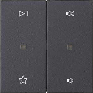 Abdeckung für Schalter, Taster, Dimmer, Jalousie - Wippe 2-fach Audiosteuerung System 55 Anthrazit - 538428