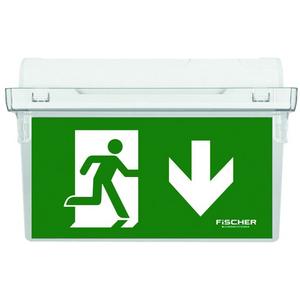 Piktogramm und Zubehör - Piktogrammscheibe unten/weiß Exit-S - FIEXIT SCH PU