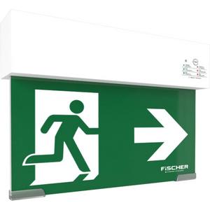 Sicherheitsleuchte - Rettungszeichenleuchten LPS RZL Scheibe Universal IP42 EW21 - FISKUE83I