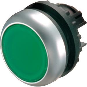 Frontelement für Drucktaster - Drucktaste flach grün rastend blanko IP67 M22-DR-G - 216619