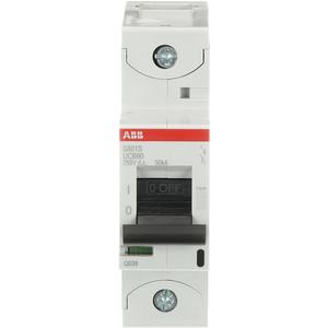 Leitungsschutzschalter - LS-Schutzschalter 1-polig 50kA B-Char 80A 1,5TE - 2CCS861001R1805