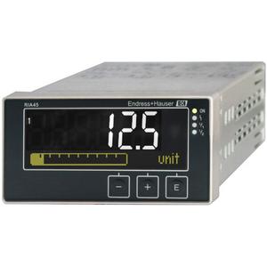 Monitor Einbaugerät - Anzeigegerät Ex-frei Schalttafeleinbau 48x96mm 1x univ.  1x ana. + 2 rel - RIA45-1035/0