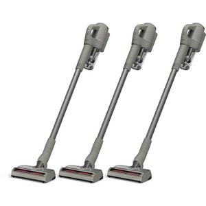 Staubsauger (Akku) - Akkustaubsauger CarCare Duoflex HX1 3 Stück