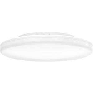 Anbauleuchte - Deckenleuchte Renovate DM:310mm 2500 lm 20 W 2700 - 6500 K IP54 - 300736