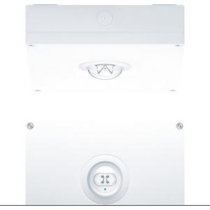 Sicherheitsleuchte - RESCLITE PRO Sicherheitsleuchte 4,7W 236lm weiß MSC ESC E1D IP65 - 42185743