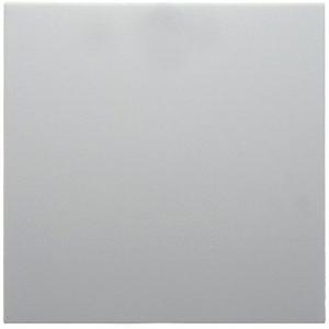 Abdeckung für Schalter, Taster, Dimmer, Jalousie - Wippe S.1/B.1/B.3/B.7 Glas polarweiß matt - 16201909