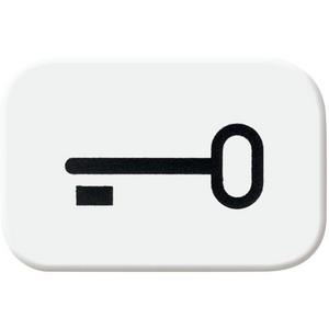 Bezeichnungsmaterial für Installationsschalterprogramme - Tastersymbol mit Symbol Schlüssel alpinweiß - balance SI / Reflex SI - 2CKA001433A0044