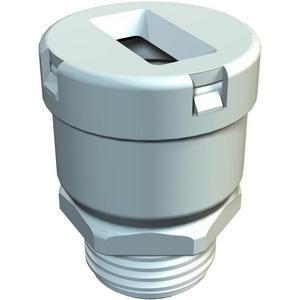 Kabelverschraubung - Flachkabelverschraubung in steingrau mit PG-Gewinde von Pg16 bis Pg21