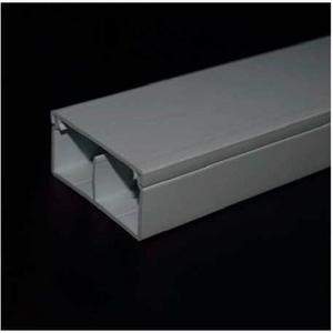 TRUNK/DUAL 50X25MM WHITE