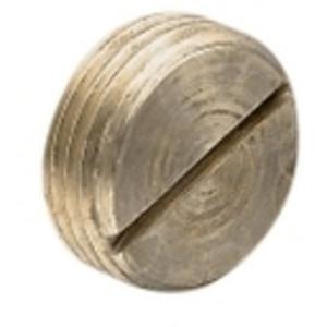 CONDUIT PLUG (BUNG) THREADED BRASS 20MM