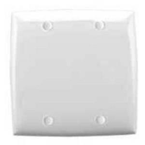BLANK PLATE 2 GANG WHITE