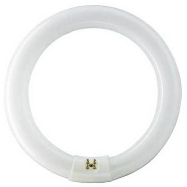 Lamp Fluoro Circ Tl-E 22W 6500K 1250Lm 1Ct/20 Super, Ideal Electrical Catalogue Lamps Fluorescent Fluorescent Lamp - Construction Supplies Australia