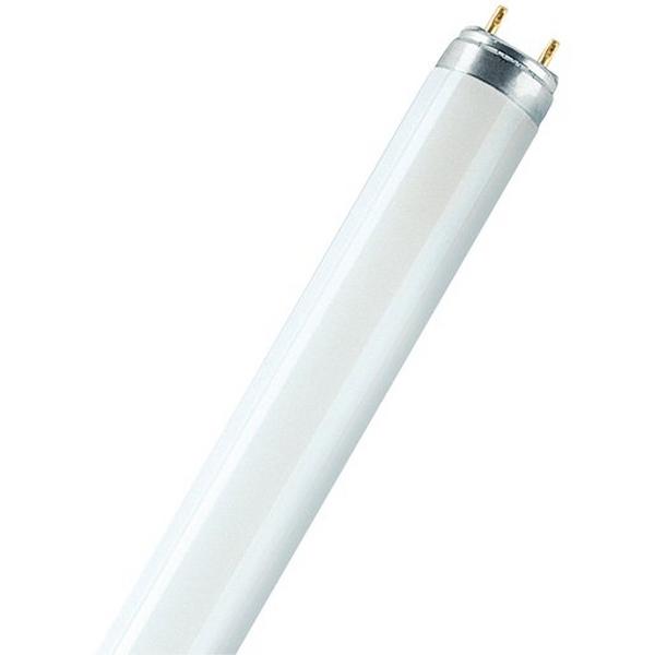 Lamp Fluoro T8 36W 3300Lm Colour Lumilux, Ideal Electrical Catalogue Lamps Fluorescent Fluorescent Lamp - Construction Supplies Australia
