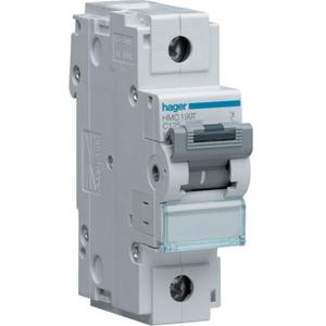 MCB 100A 1P D CURVE 15KA