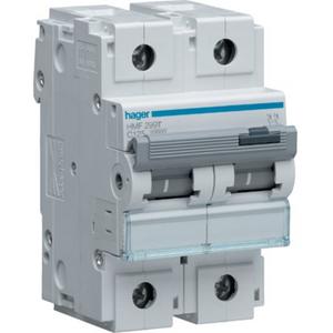 MCB 125A 2P C CURVE 10KA