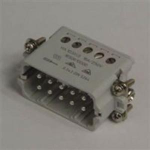 HDC-HA-10SS INSERT MALE