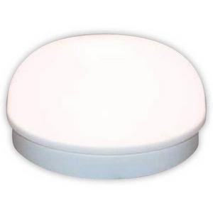 LIGHT WALL/CEIL BUTTON WHITE