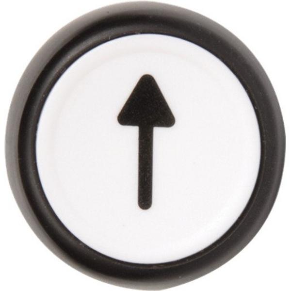 22mm Momentary Push Button 800F Push Button, Ideal Electrical Catalogue Industrial Push Button Front Element For Push Button - Construction Supplies Australia