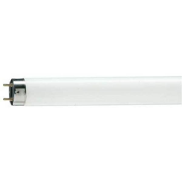 Lamp Fluoro T8 G13 36W 4000K 3250Lm 1Sl/25 Alto, Ideal Electrical Catalogue Lamps Fluorescent Fluorescent Lamp - Construction Supplies Australia