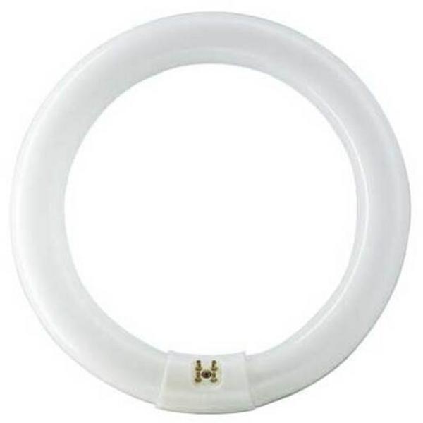 Lamp Fluoro Circ Tl-E 32W 6500K 2310Lm 1Ct/20 Super, Ideal Electrical Catalogue Lamps Fluorescent Fluorescent Lamp - Construction Supplies Australia