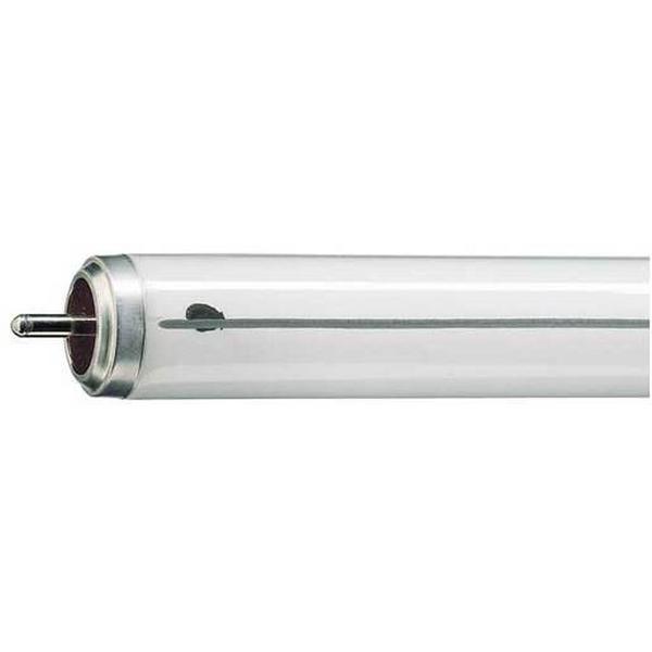 Lamp Fluoro T12 Fa6 40W 4100K 2300Lm, Ideal Electrical Catalogue Lamps Fluorescent Fluorescent Lamp - Construction Supplies Australia