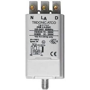 IGNITOR ZRM2-ES/C 22176025