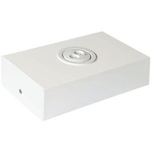 EMG SURF MOUNT N/MAINT LED DUAL SPITFIRE