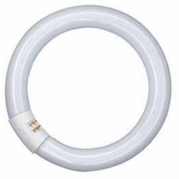 Lamp Fluoro Circ G10Q 32W 4000K 2250Lm Lumilux T9, Ideal Electrical Catalogue Lamps Fluorescent Fluorescent Lamp - Construction Supplies Australia
