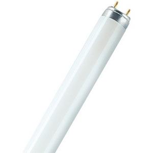 LAMP FLUORO T8 G13 36W 3000K 3350LM LUMILUX